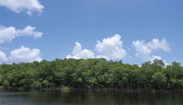 Climate and Environment